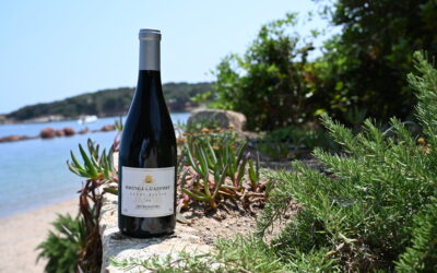 Domaine Orenga de Gaffory  – Felice – Rouge 2021