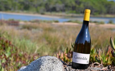 Domaine Saparale – Casteddu – Blanc 2023