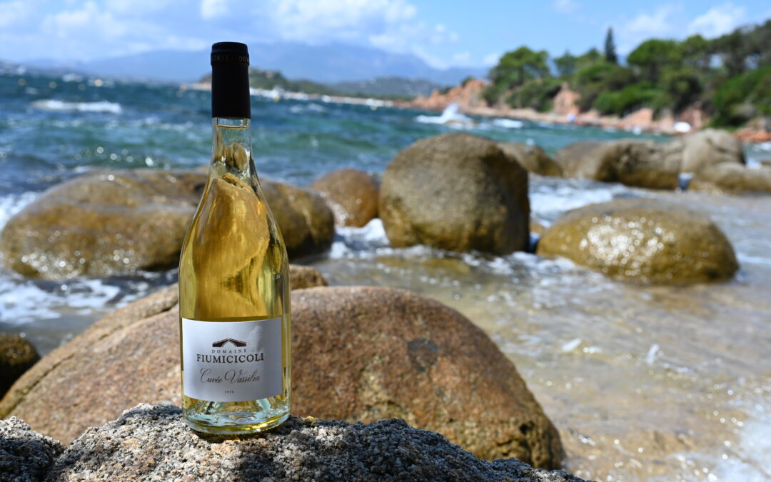 Domaine Fiumicicoli – Vassilia – Blanc 2024