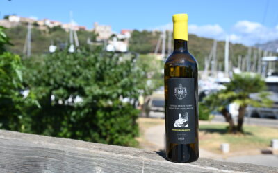 Château Prince Pierre Napoléon Bonaparte – Joseph Bonaparte – Blanc 2023