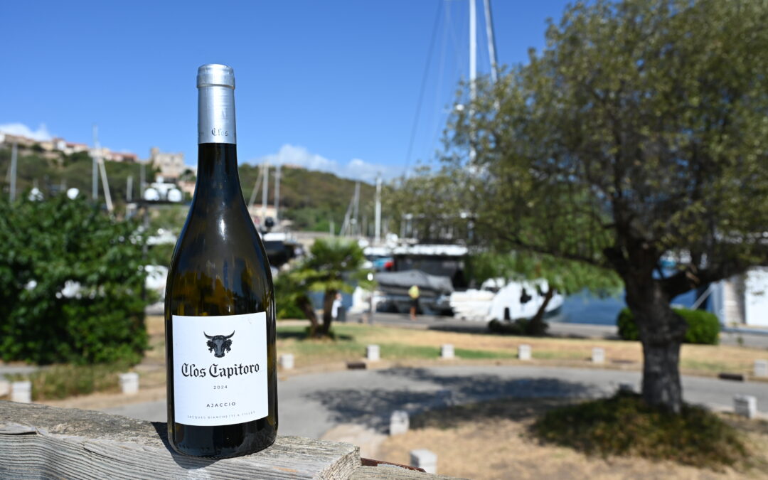 Clos Capitoro – Tradition Blanc – 2024
