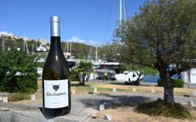 Clos Capitoro – Tradition Blanc – 2024