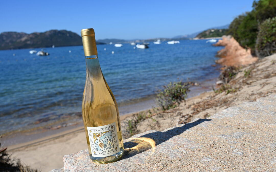 Clos Teddi – Un été dans le désert – Blanc 2025