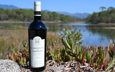 Castellu di Baricci – Rouge – 2022