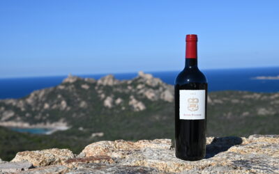 Domaine San Micheli – Alfieri Polidori – Rouge 2023
