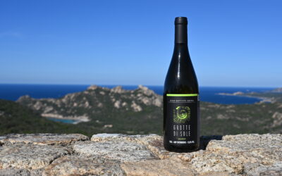 Domaine Jean-Baptiste Arena – Grotte di Sole – Blanc 2024