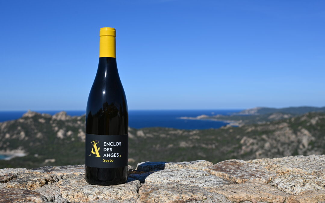 Domaine Enclos des Anges – Sesto – Blanc 2024
