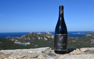 Domaine Paradella – Aldilà – Rouge 2024