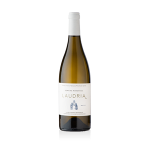 laudira blanc corse